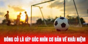 bóng cỏ là gì
