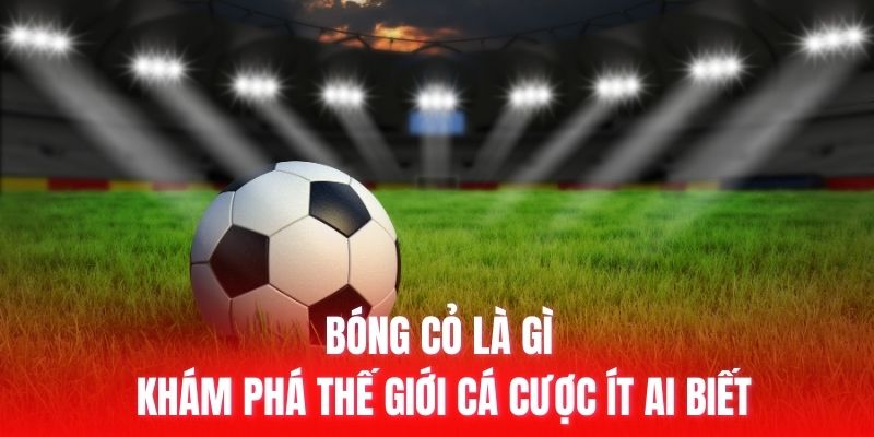 Bóng cỏ là gì? Góc nhìn cơ bản về khái niệm