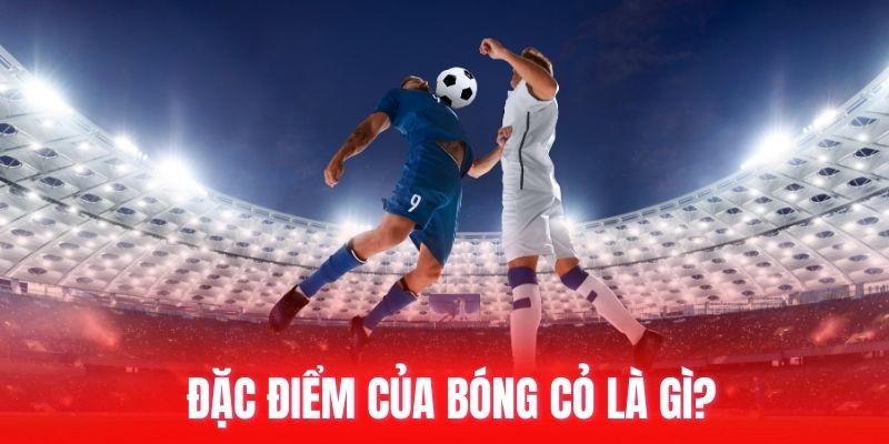 Đặc điểm của bóng cỏ là gì?